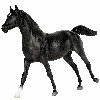 1239 - Breyer Horse Black Beauty