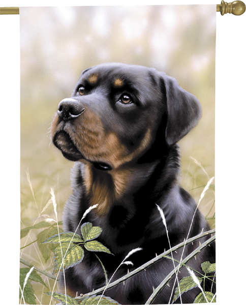 rottweiler message board breyer horses by ktm breyer models breyer horses store for breyers rottweiler message board breyer horses by ktm breyer models breyer horses store for breyers